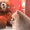 mintwithlove11