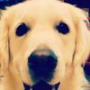 easton_00
