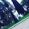 camelia_sofia_.com