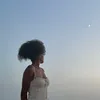 sienna_lmr