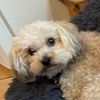 jette434