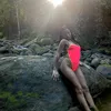 cellepenna
