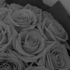 blueberry_oneandonly