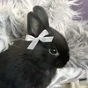 bullet_ari3
