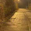 emitlive