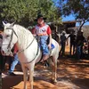 uelitonfreirebrito