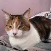 ellasrandomlife5