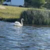 lea_g_47