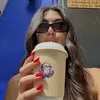 saracassia___
