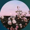 anfth10