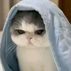 6qwertzyiu1