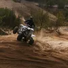 dawiddrap