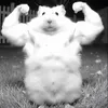 oliverdg