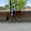 matildespada_