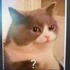 justboredmemes