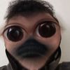 tygray3