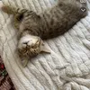 xjadziax.v
