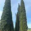 aticb1