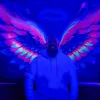 ricchy_h