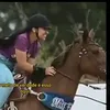 vaqueira_nordestina1