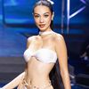 Paris Bao Nhi