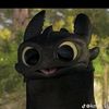 inzreah4