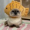 hhaeyeonn