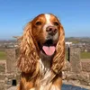 emmadogwalker