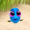 francyyyyyx