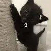 ddeathray