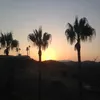 caseyxx_11