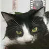 romanodu69