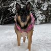 gsd_miaaaa