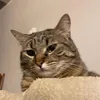 jujiji3