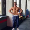 tarodigergo