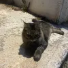 polinaklr