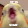 oletlyhyt