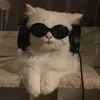 saniasuscestvo_