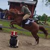 mindy_hutchins15
