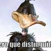 aldocobos1