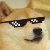 dogememes183
