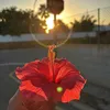 annamariab30