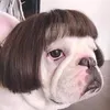 rinapillardaalcaraz