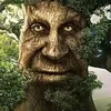 zsottyforg