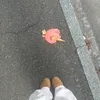 keidott