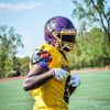 purpleflash6