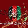hamidkabul0