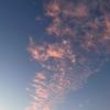 shumka.1