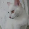 rayssapimenta07