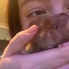 levvskz